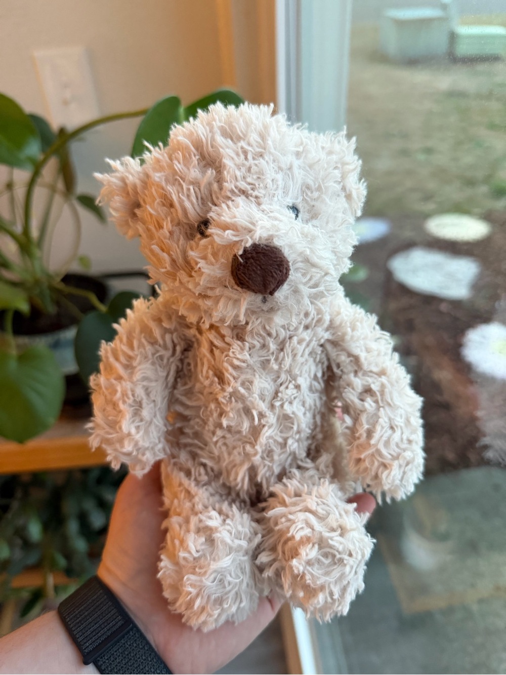 Retired Jellycat Small Biscuit Bear